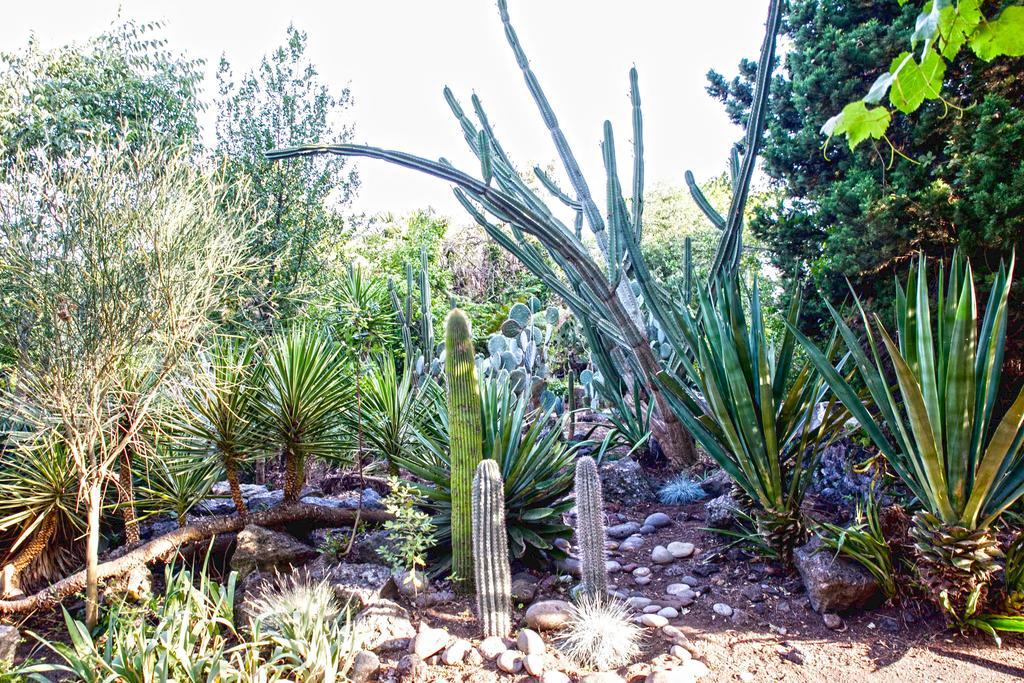 Etna Botanic Garden Lejlighed Mascalucia Eksteriør billede