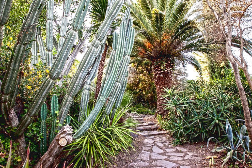 Etna Botanic Garden Lejlighed Mascalucia Eksteriør billede
