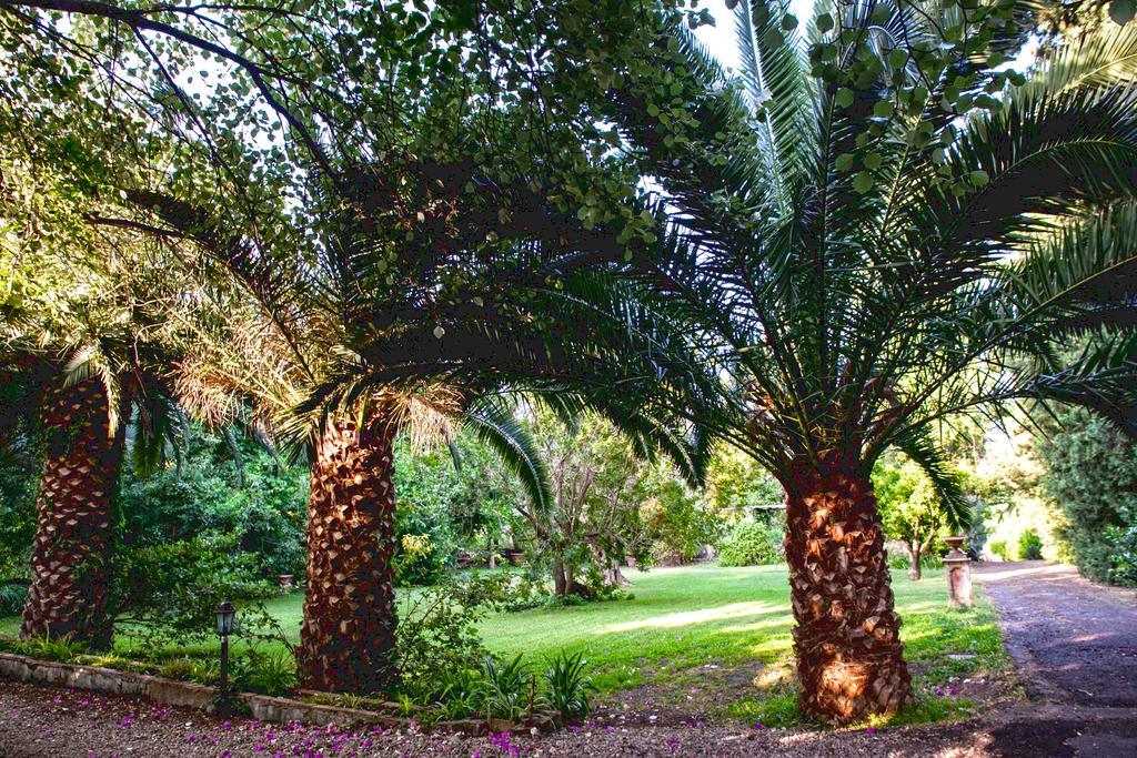 Etna Botanic Garden Lejlighed Mascalucia Eksteriør billede
